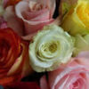 joy_hansen